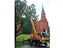 Обрезка деревьев на территории Кремля